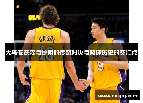 大鸟安德森与姚明的传奇对决与篮球历史的交汇点
